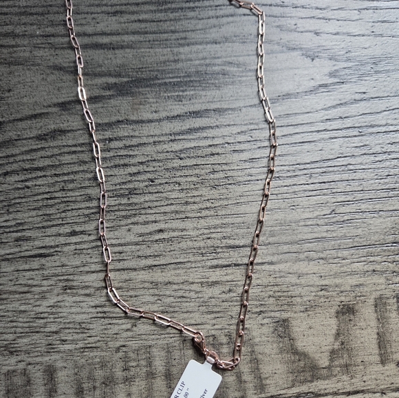 Elegant Rose Gold Chain Necklace - Picture 1 of 3